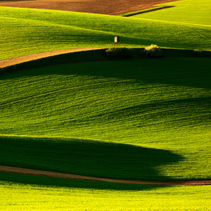 Morava