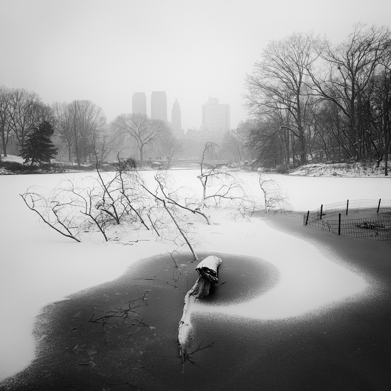 Bow Bridge II, Central Park