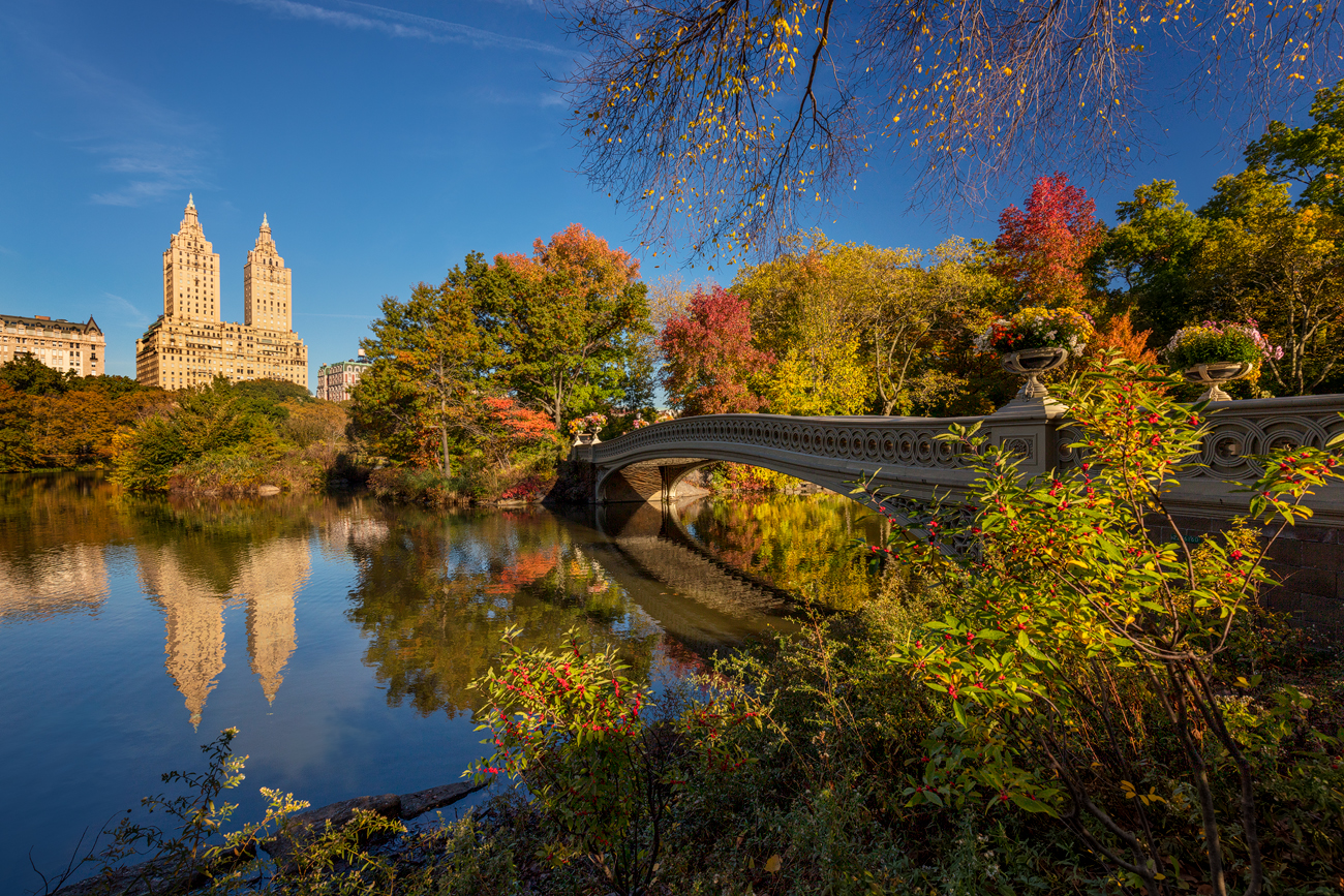 Bow Bridge, New York Central Park