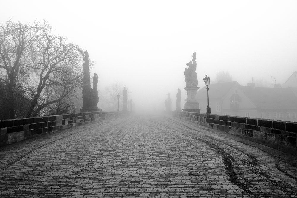 Karlův most v mlze