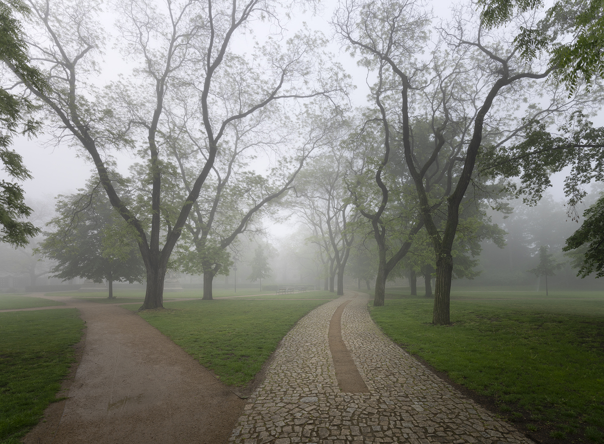 Park na Vyšehradu