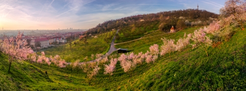 Jarní nádhera, Petřínské svahy