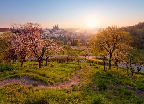 Jaro pod Pražským hradem