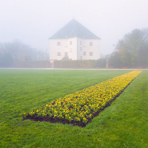 Fotografie – Květinové záhony, obora Hvězda