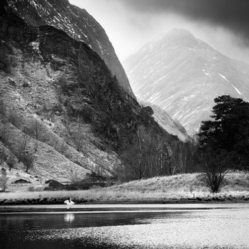 Labuť v Glenfinnan