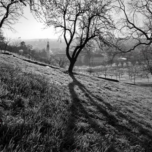 Fotografie – Panna Maria Vitězná z Petřínských sadů