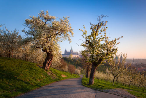 Petřín