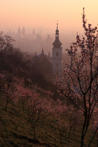 Fotografie – Petřínský vrch