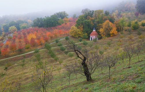 Petřínský vrch, podzimní barvy