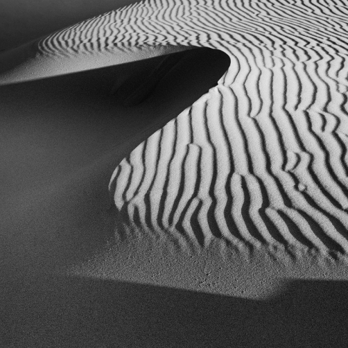 Fotografie – Písečné duny 1, Łeba