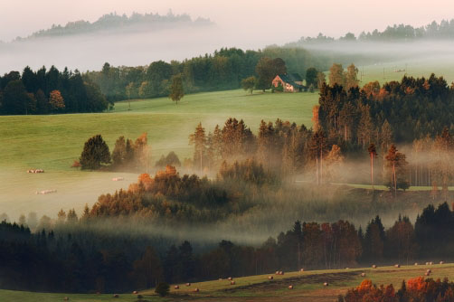 Podzimní louky v mlze, České Švýcarsko