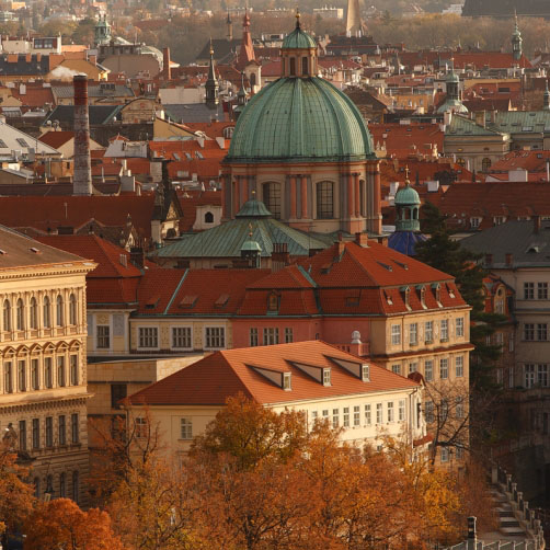 Fotografie – Podzimní svatý František