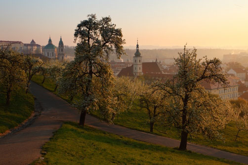 Fotografie – Pražské jaro