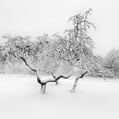 Fotografie – Pražský blizard, sníh na Klárově
