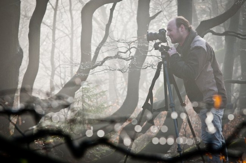 Fotografie – Rýchory, podzimní prales
