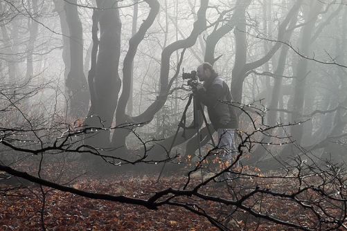 Fotografie – Rýchory, podzimní prales II.
