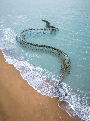 Serpent d´océan, Saint-Nazaire