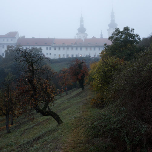 Fotografie – Strahovský klášter v podzimní mlze
