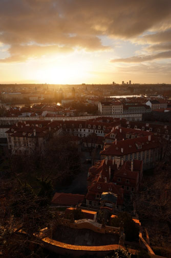 Střechy zalité sluncem