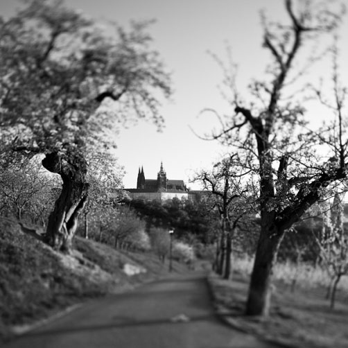 Z Petřína na Pražský hrad