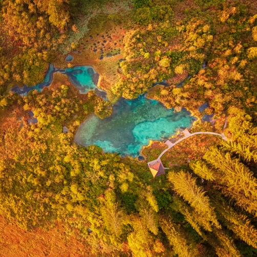 Fotografie – Zelenci, smaragdové jezírko, Julské Alpy